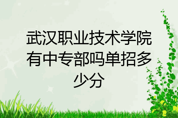 武汉职业技术学院有中专部吗单招多少分