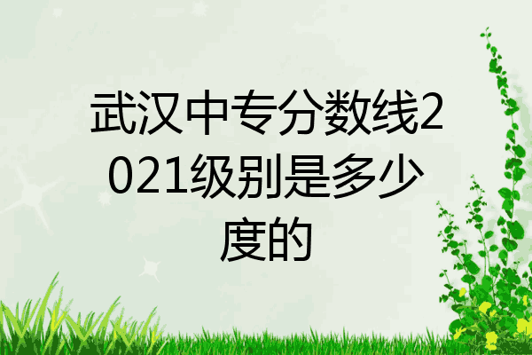 武汉中专分数线2021级别是多少度的