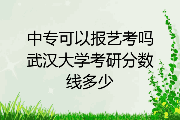 中专可以报艺考吗武汉大学考研分数线多少