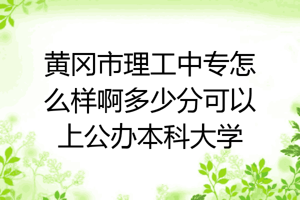 黄冈市理工中专怎么样啊多少分可以上公办本科大学