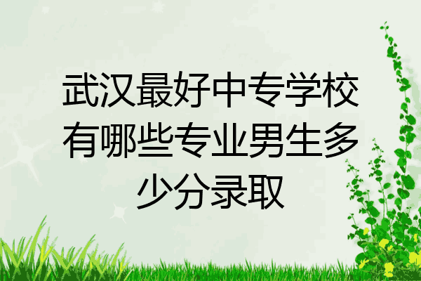 武汉最好中专学校有哪些专业男生多少分录取