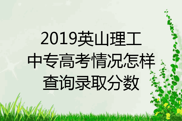 2019英山理工中专高考情况怎样查询录取分数