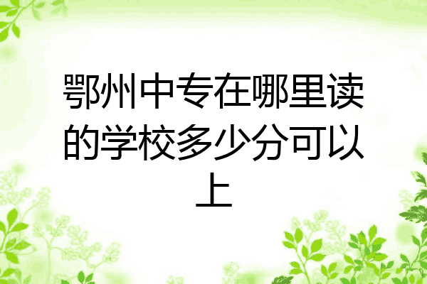 鄂州中专在哪里读的学校多少分可以上