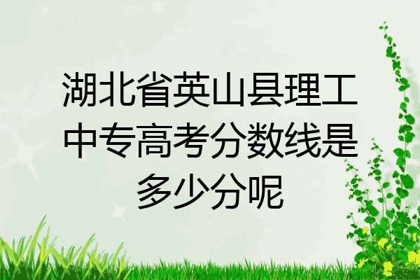 湖北省英山县理工中专高考分数线是多少分呢