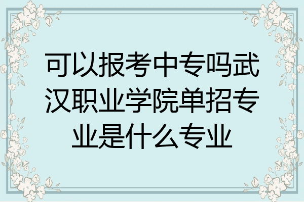 可以报考中专吗武汉职业学院单招专业是什么专业