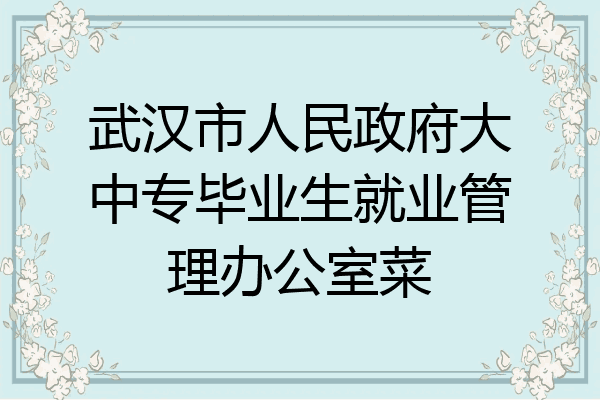 武汉市人民政府大中专毕业生就业管理办公室菜