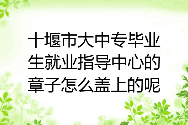 十堰市大中专毕业生就业指导中心的章子怎么盖上的呢
