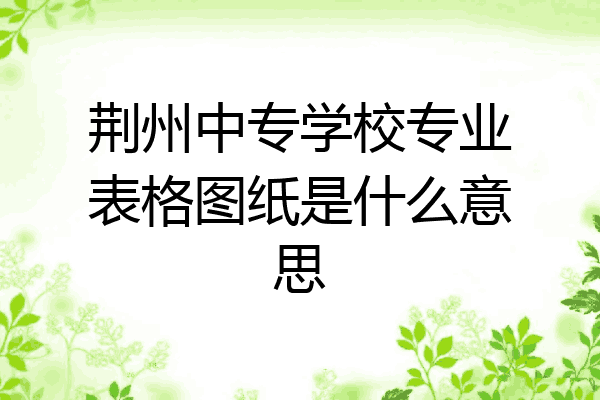 荆州中专学校专业表格图纸是什么意思