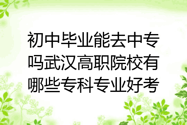 初中毕业能去中专吗武汉高职院校有哪些专科专业好考