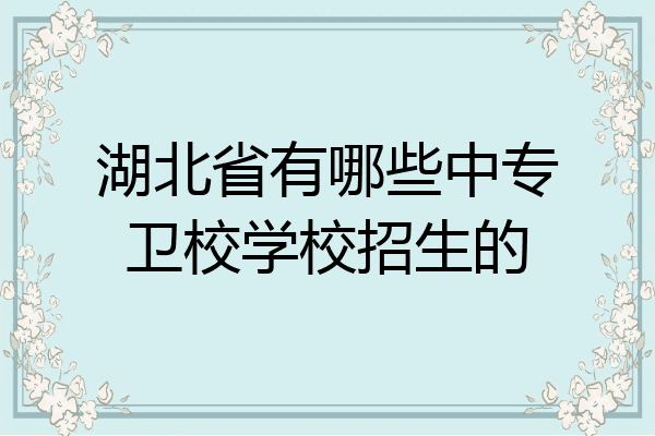 湖北省有哪些中专卫校学校招生的