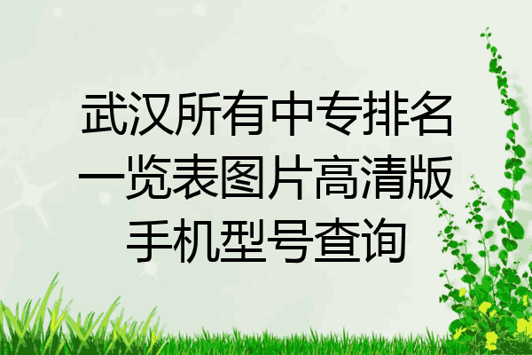 武汉所有中专排名一览表图片高清版手机型号查询