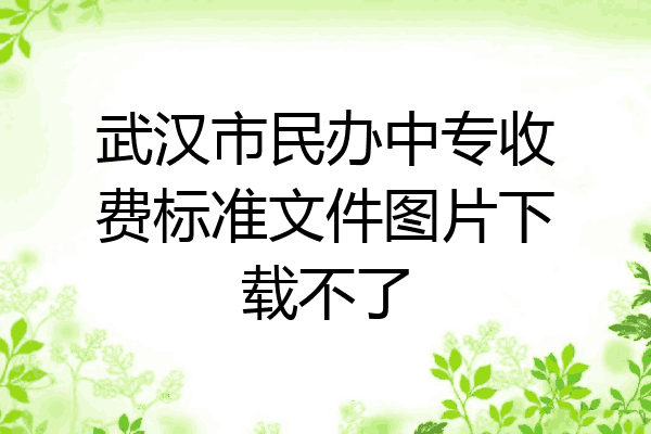 武汉市民办中专收费标准文件图片下载不了