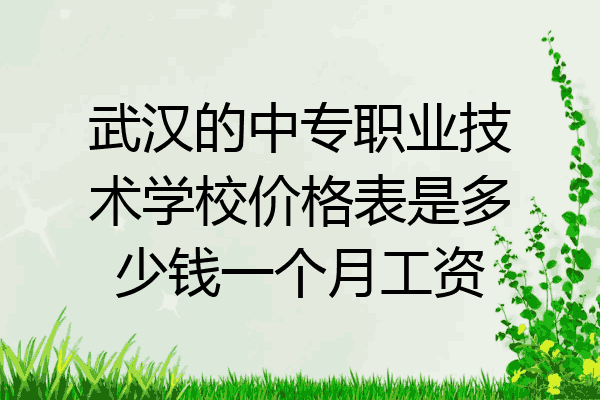 武汉的中专职业技术学校价格表是多少钱一个月工资