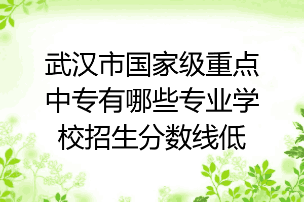 武汉市国家级重点中专有哪些专业学校招生分数线低