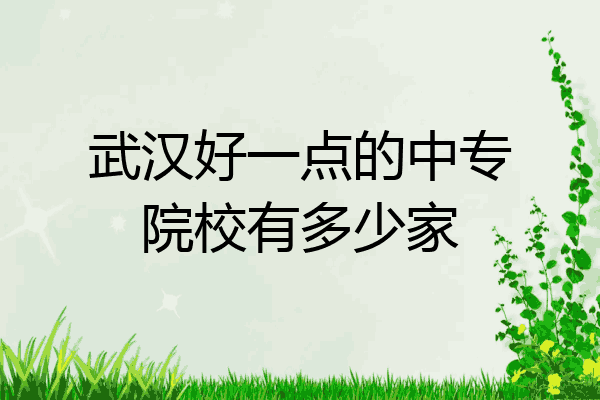 武汉好一点的中专院校有多少家