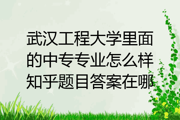 武汉工程大学里面的中专专业怎么样知乎题目答案在哪