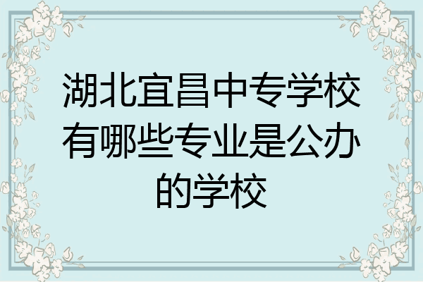 湖北宜昌中专学校有哪些专业是公办的学校