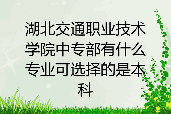 湖北交通职业技术学院中专部有什么专业可选择的是本科