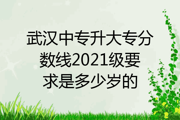 武汉中专升大专分数线2021级要求是多少岁的