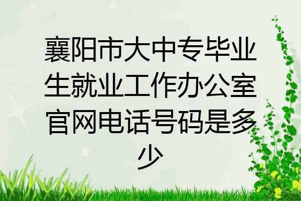 襄阳市大中专毕业生就业工作办公室官网电话号码是多少