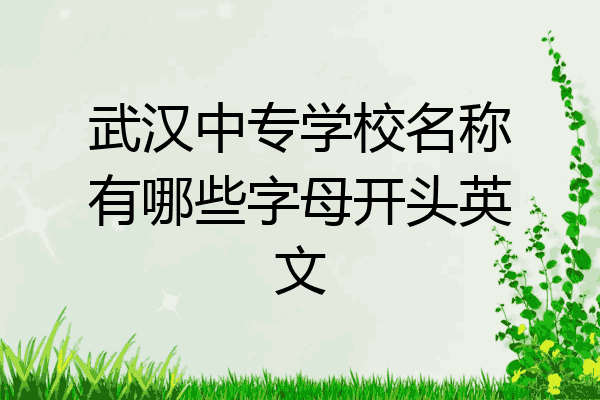 武汉中专学校名称有哪些字母开头英文