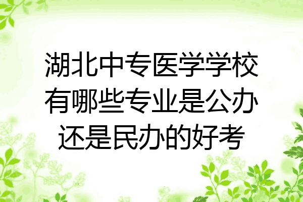 湖北中专医学学校有哪些专业是公办还是民办的好考