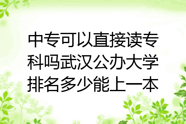 中专可以直接读专科吗武汉公办大学排名多少能上一本