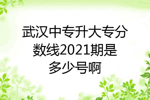 武汉中专升大专分数线2021期是多少号啊
