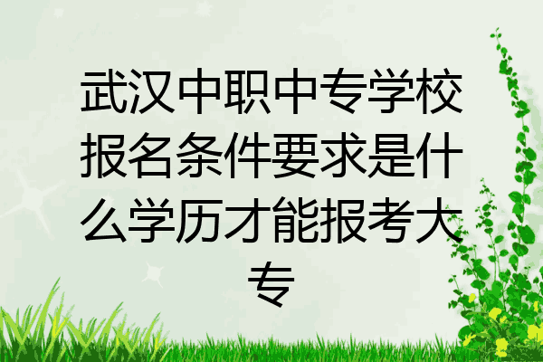 武汉中职中专学校报名条件要求是什么学历才能报考大专