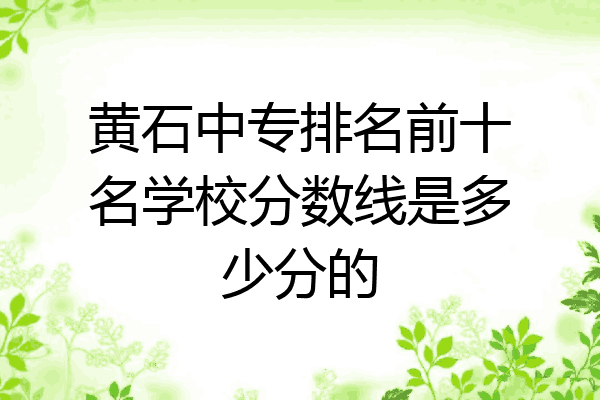 黄石中专排名前十名学校分数线是多少分的