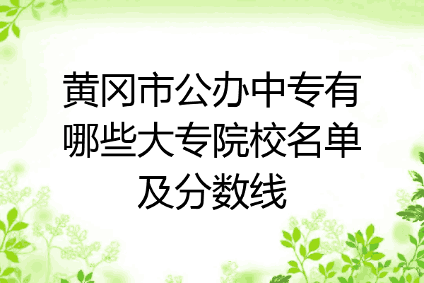 黄冈市公办中专有哪些大专院校名单及分数线