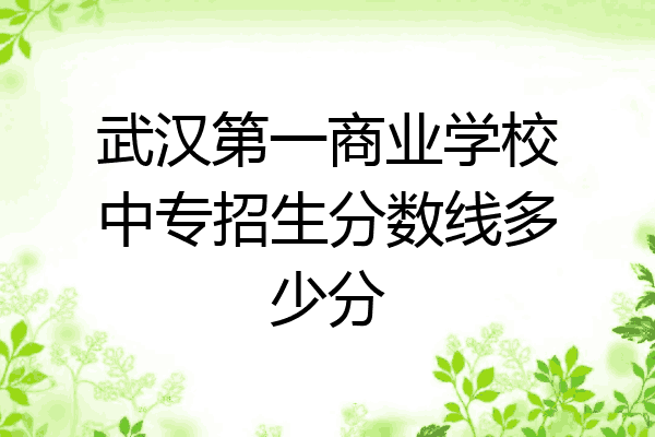 武汉第一商业学校中专招生分数线多少分
