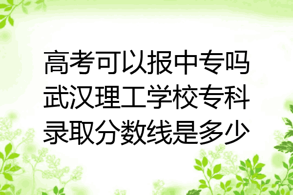 高考可以报中专吗武汉理工学校专科录取分数线是多少