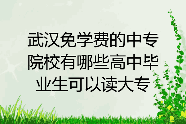 武汉免学费的中专院校有哪些高中毕业生可以读大专