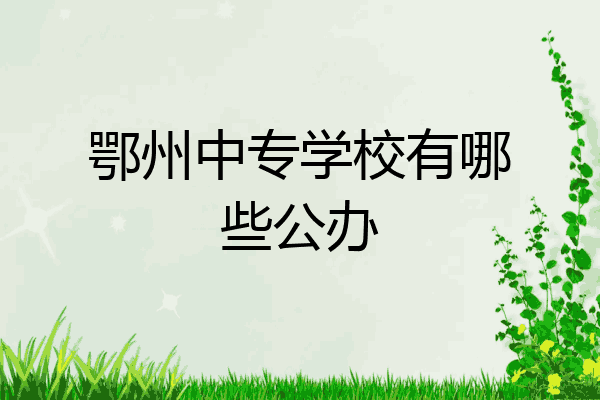 鄂州中专学校有哪些公办