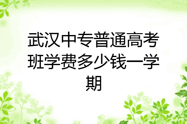 武汉中专普通高考班学费多少钱一学期
