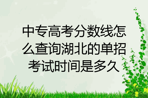中专高考分数线怎么查询湖北的单招考试时间是多久