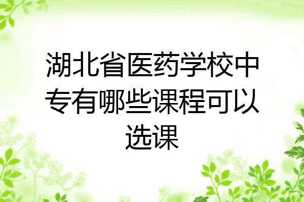 湖北省医药学校中专有哪些课程可以选课