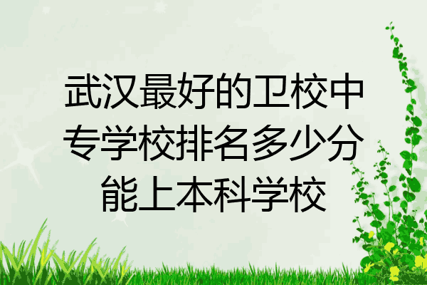 武汉最好的卫校中专学校排名多少分能上本科学校