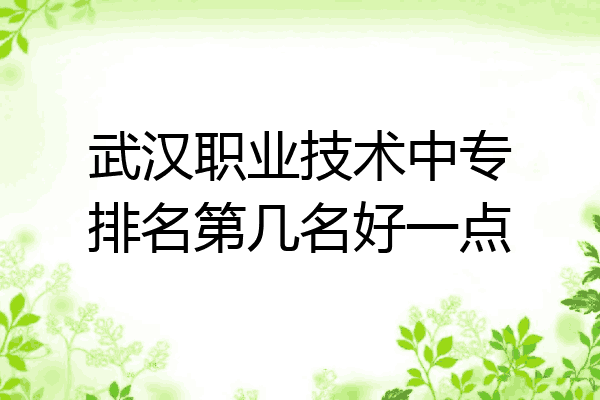 武汉职业技术中专排名第几名好一点