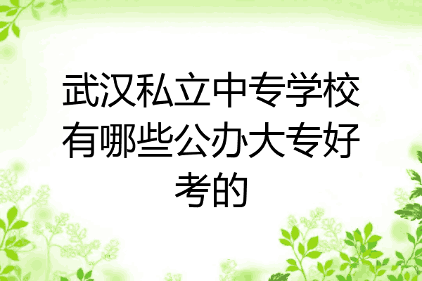 武汉私立中专学校有哪些公办大专好考的