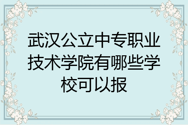武汉公立中专职业技术学院有哪些学校可以报