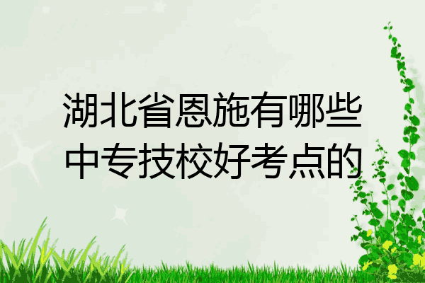 湖北省恩施有哪些中专技校好考点的