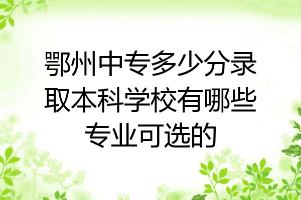 鄂州中专多少分录取本科学校有哪些专业可选的