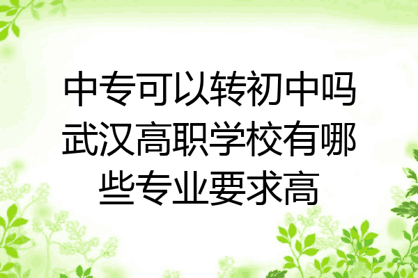 中专可以转初中吗武汉高职学校有哪些专业要求高