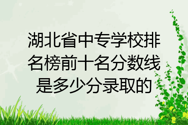 湖北省中专学校排名榜前十名分数线是多少分录取的
