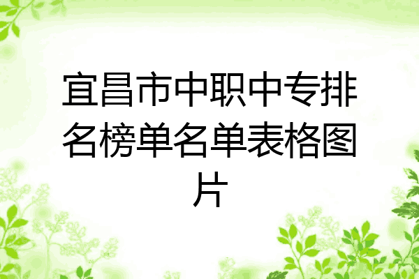 宜昌市中职中专排名榜单名单表格图片