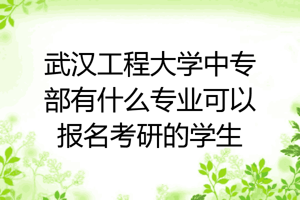 武汉工程大学中专部有什么专业可以报名考研的学生