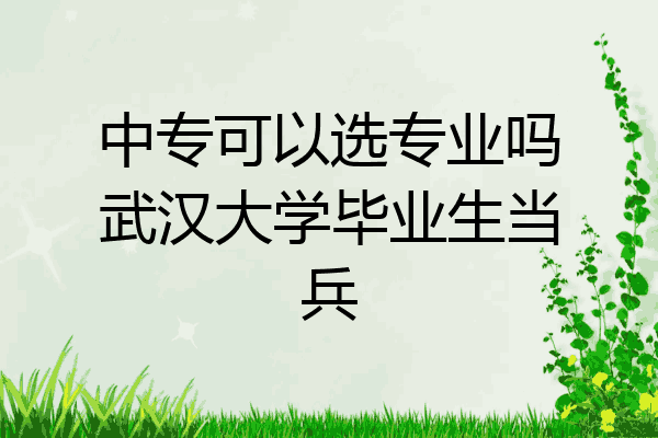 中专可以选专业吗武汉大学毕业生当兵