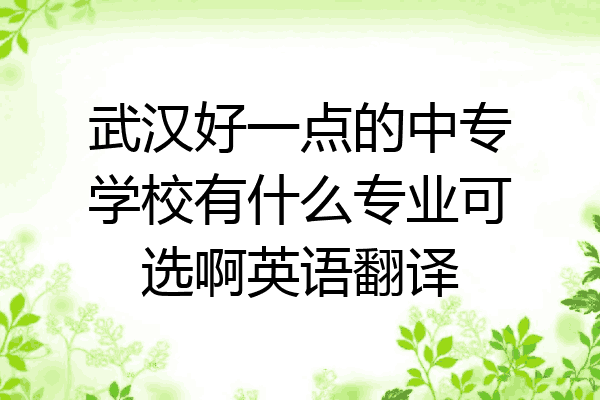 武汉好一点的中专学校有什么专业可选啊英语翻译